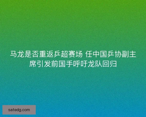 马龙是否重返乒超赛场 任中国乒协副主席引发前国手呼吁龙队回归