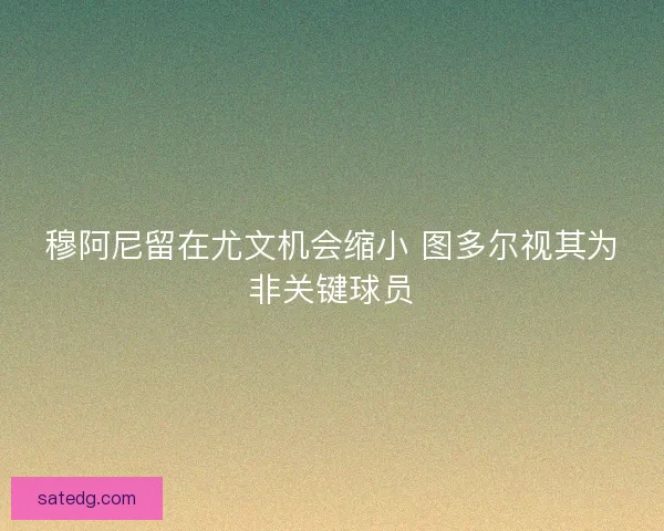 穆阿尼留在尤文机会缩小 图多尔视其为非关键球员