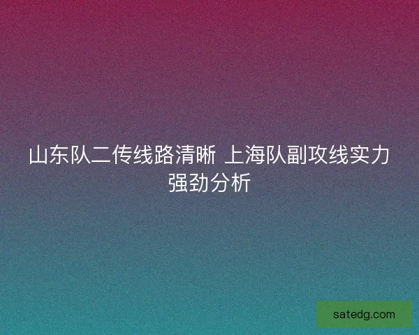 山东队二传线路清晰 上海队副攻线实力强劲分析